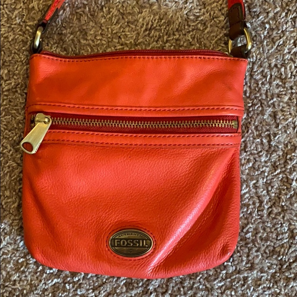 Coral Fossil purse